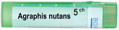 АГРАФИС НУТАНС 5CH / AGRAPHIS NUTANS 5 CH