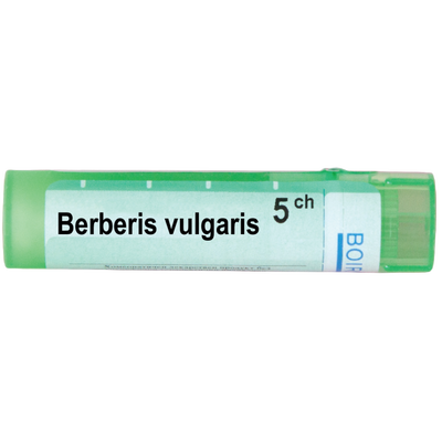 БЕРБЕРИС ВУЛГАРИС 5 CH / BERBERIS VULGARIS 5 CH