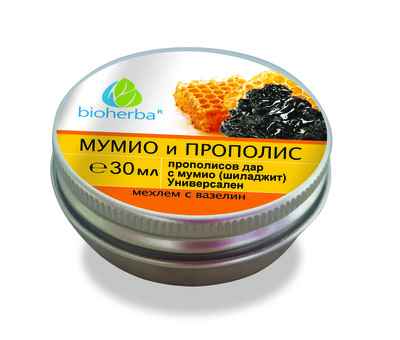 Mехлем МУМИО и ПРОПОЛИС 30мл Биохерба