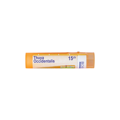 ТУЯ ОКСИДЕНТАЛИС 15 СН/ THUYA OCCIDENTALIS 15 CH
