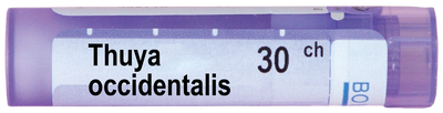 ТУЯ ОКСИДЕНТАЛИС 30 СН/ THUYA OCCIDENTALIS 30 CH