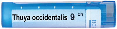 ТУЯ ОКСИДЕНТАЛИС 9 СН/ THUYA OCCIDENTALIS 9 CH