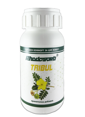 Трибул Rhodosorb зеолит с бабини зъби х 80 капсули