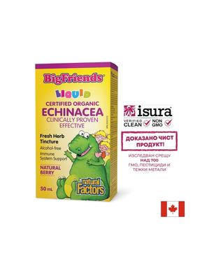 Ехинацея BigFriends – Имунна подкрепа за деца и възрастни 1000 mg x 50 ml